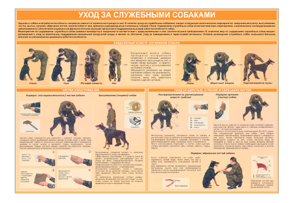 Стенд информационный «Уход за служебными собаками»
