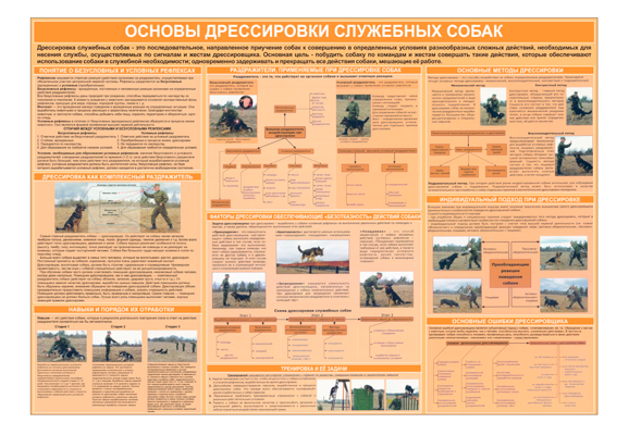 Стенд информационный «Основы дрессировки служебных собак»