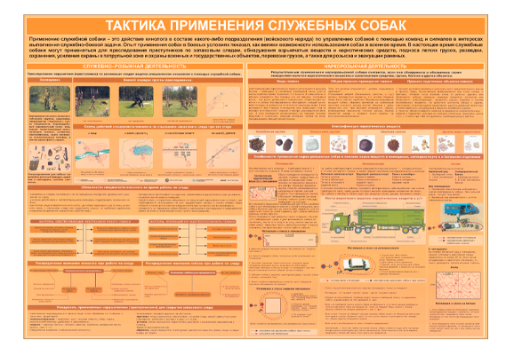 Стенд информационный «Тактика применения служебных собак»
