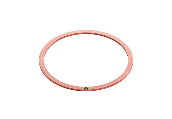 Шайба 2ЭС6.31.100.011