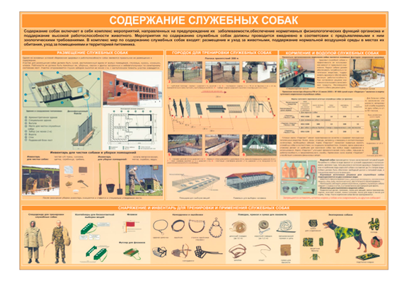 Стенд информационный «Содержание служебных собак»