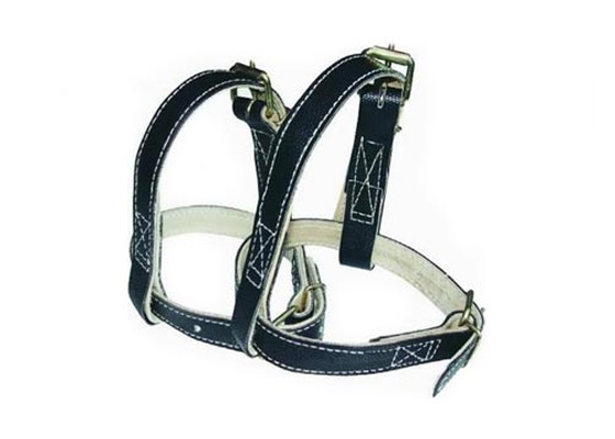 Ремни кожаные для когтей-лазов