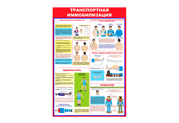 Стенд информационный «Транспортная иммобилизация»