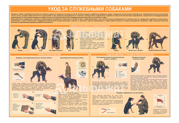 Стенд информационный «Уход за служебными собаками»