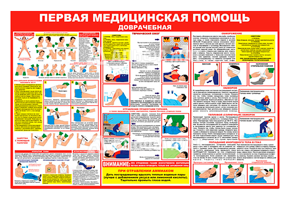 Стенд информационный «Первая медицинская помощь - доврачебная»
