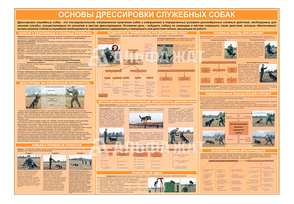 Стенд информационный «Основы дрессировки служебных собак»