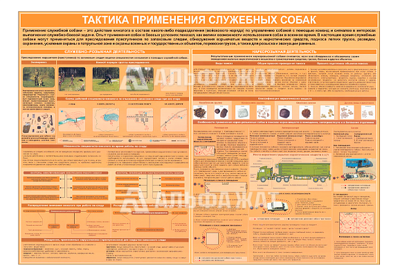 Стенд информационный «Тактика применения служебных собак»