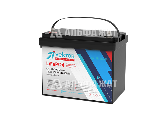 Литиевый накопитель LFP 12,8-100 Smart