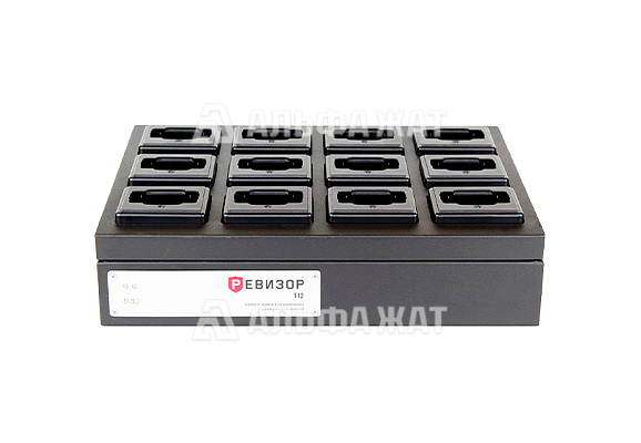 Терминал сбора и хранения данных Ревизор T12