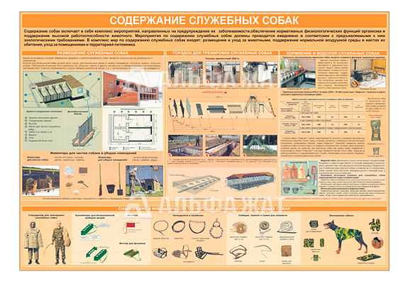 Стенд информационный «Содержание служебных собак»