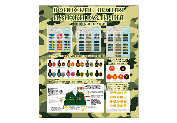Стенд информационный «Воинские звания и знаки различия»