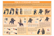 Стенд информационный «Уход за служебными собаками»