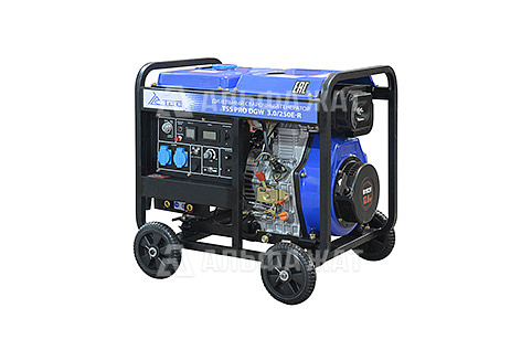 Сварочный генератор TSS PRO DGW 3.0/250E-R