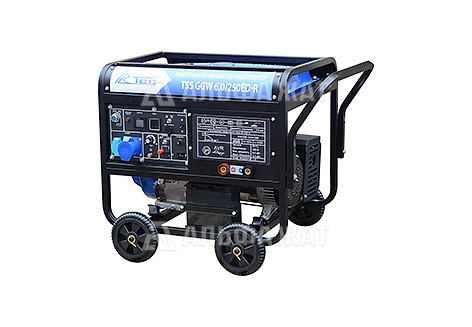 Сварочный генератор TSS GGW 6.0/250ED-R