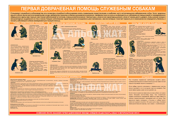 Стенд информационный «Первая доврачебная помощь служебным собакам»