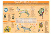 Стенд информационный «Уход за служебными собаками»